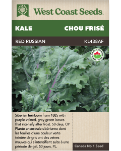Red Russian Certified Organic Kale Vegetables Seeds - West Coast Seeds