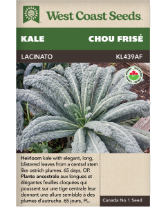 Lacinato Certified Organic Kale Vegetables Seeds - West Coast Seeds