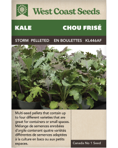 Storm (Pelleted) Kale Vegetables Seeds - West Coast Seeds