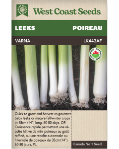 Alto - Varna Certified Organic Leeks Vegetables Seeds - West Coast Seeds
