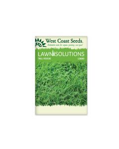 Tall Fescue, Turf Type Seeds Fescue Vegetable Seeds - West Coast Seeds - LS800A