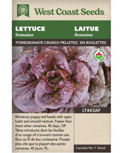 Pomegranate Crunch (Pelleted) Certified Organic Romaine Lettuce Vegetables Seeds - West Coast Seeds