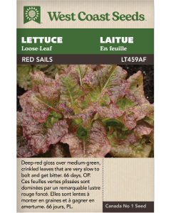 Red Sails Loose-leaf Lettuce Vegetables Seeds - West Coast Seeds