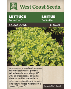 Salad Bowl - Green Loose-leaf Lettuce Vegetables Seeds - West Coast Seeds
