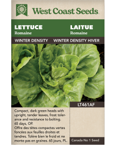 Winter Density Romaine Lettuce Vegetables Seeds - West Coast Seeds