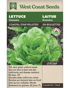Coastal Star (Pelleted) Certified Organic Romaine Lettuce Vegetables Seeds - West Coast Seeds