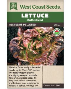 Alkindus (Pelleted) Certified Organic (50 Seeds) Butterhead Lettuce Vegetable Seeds - West Coast Seeds - LT507A