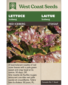 Red Iceberg Iceberg Lettuce Vegetables Seeds - West Coast Seeds