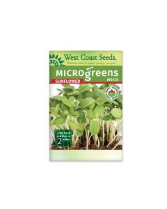 Microgreen Sunflower Certified Organic Seeds Sunflowers Vegetable Seeds - West Coast Seeds - MG435A