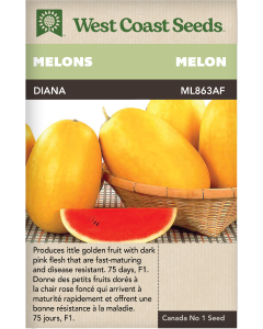Diana F1 Watermelon Melons Vegetables Seeds - West Coast Seeds