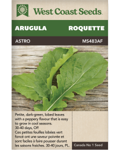 Astro Roquette Arugula Vegetables Seeds - West Coast Seeds