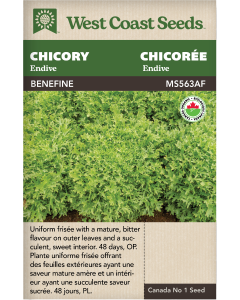 Benefine Certified Organic Endive Chicory Vegetables Seeds - West Coast Seeds