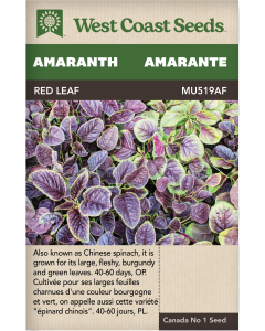 Red Leaf Grain Amaranth Vegetables Seeds - West Coast Seeds