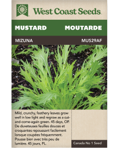 Mizuna Mizuna Mustard Vegetables Seeds - West Coast Seeds