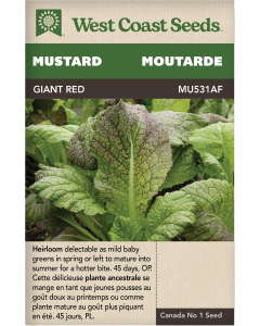 Giant Red Mustard Vegetables Seeds - West Coast Seeds