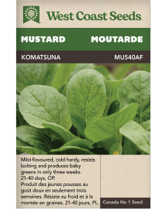 Komatsuna Green Komatsuna Mustard Vegetables Seeds - West Coast Seeds