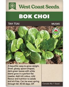 Tah Tsai Certified Organic Mustard Vegetable Seeds - West Coast Seeds - MU545A