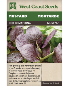 Komatsuna Red F1 Komatsuna Mustard Vegetables Seeds - West Coast Seeds