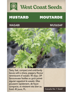 Wasabi Mustard Greens Mustard Vegetables Seeds - West Coast Seeds