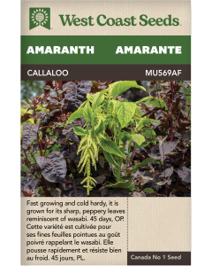 Callaloo Amaranth Vegetables Seeds - West Coast Seeds