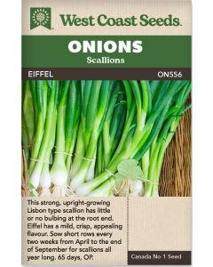 Eiffel Scallion Onions Vegetable Seeds - West Coast Seeds - ON556A