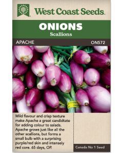 Apache Scallion Onions Vegetable Seeds - West Coast Seeds - ON572A