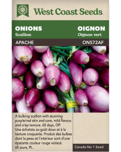 Apache Scallion Onions Vegetables Seeds - West Coast Seeds