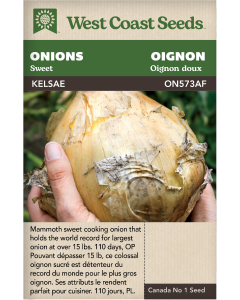 Kelsae (Coated) Sweet Onions Vegetables Seeds - West Coast Seeds