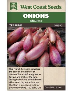 Zebrune Shallot Onions Vegetable Seeds - West Coast Seeds - ON590A