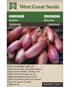 Zebrune Shallot Onions Vegetables Seeds - West Coast Seeds