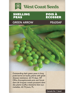Green Arrow Shelling Peas Vegetables Seeds - West Coast Seeds