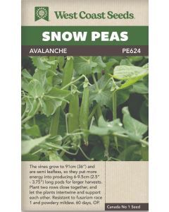 Avalanche Snow Peas Vegetable Seeds - West Coast Seeds - PE624A