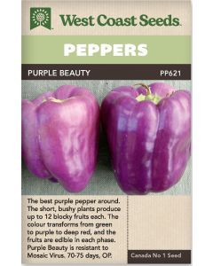 Purple Beauty Sweet Peppers Vegetable Seeds - West Coast Seeds - PP621A