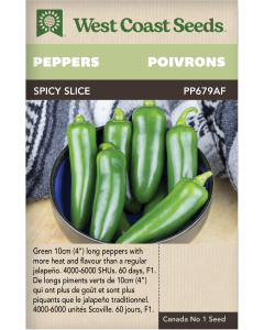 Spicy Slice F1 Jalapeno Hot Peppers Vegetables Seeds - West Coast Seeds