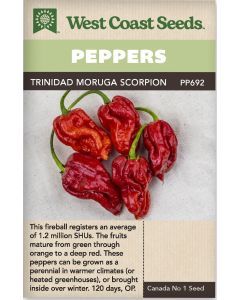 Trinidad Moruga Scorpion Hot Peppers Vegetable Seeds - West Coast Seeds - PP692A