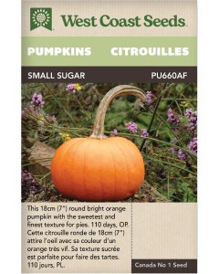 Small Sugar Pumpkins Vegetables Seeds - West Coast Seeds