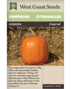 Howden Pumpkins Vegetables Seeds - West Coast Seeds