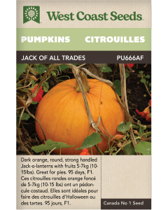 Jack of All Trades Pumpkins Vegetables Seeds - West Coast Seeds