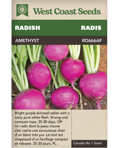 Amethyst Red Radishes Vegetables Seeds - West Coast Seeds