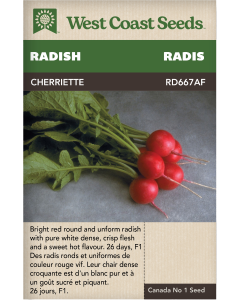 Cherriette Red Radishes Vegetables Seeds - West Coast Seeds