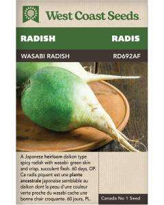 Wasabi Radish Wasabi Radishes Vegetables Seeds - West Coast Seeds