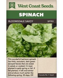 Bloomsdale Savoy Spinach Vegetable Seeds - West Coast Seeds - SP701A