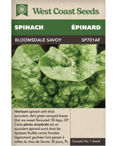 Bloomsdale Savoy Spinach Vegetables Seeds - West Coast Seeds