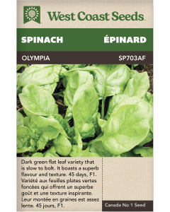 Olympia F1 Spinach Vegetables Seeds - West Coast Seeds
