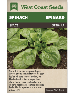 Space F1 Spinach Vegetables Seeds - West Coast Seeds