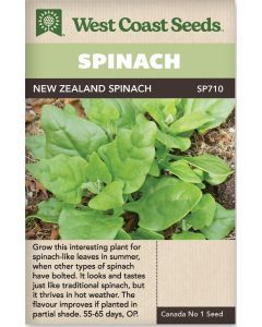 New Zealand Spinach Spinach Vegetable Seeds - West Coast Seeds - SP710A