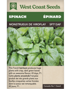 Monstrueux de Viroflay Spinach Vegetables Seeds - West Coast Seeds