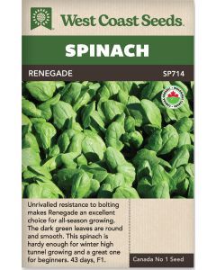 Renegade F1 (Coated) Certified Organic Spinach Vegetable Seeds - West Coast Seeds - SP714A