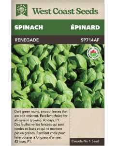 Renegade F1 (Coated) Certified Organic Spinach Vegetables Seeds - West Coast Seeds