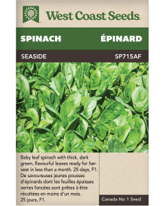 Seaside F1 Spinach Vegetables Seeds - West Coast Seeds